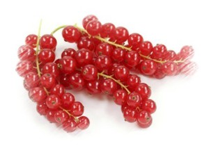 Piros ribizli, a gyümölcs képe