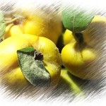 Birsalmalé-almával – 3 liter – 100% gyümölcslé